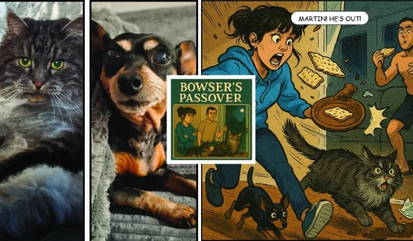 storikstorik-pets-example-100